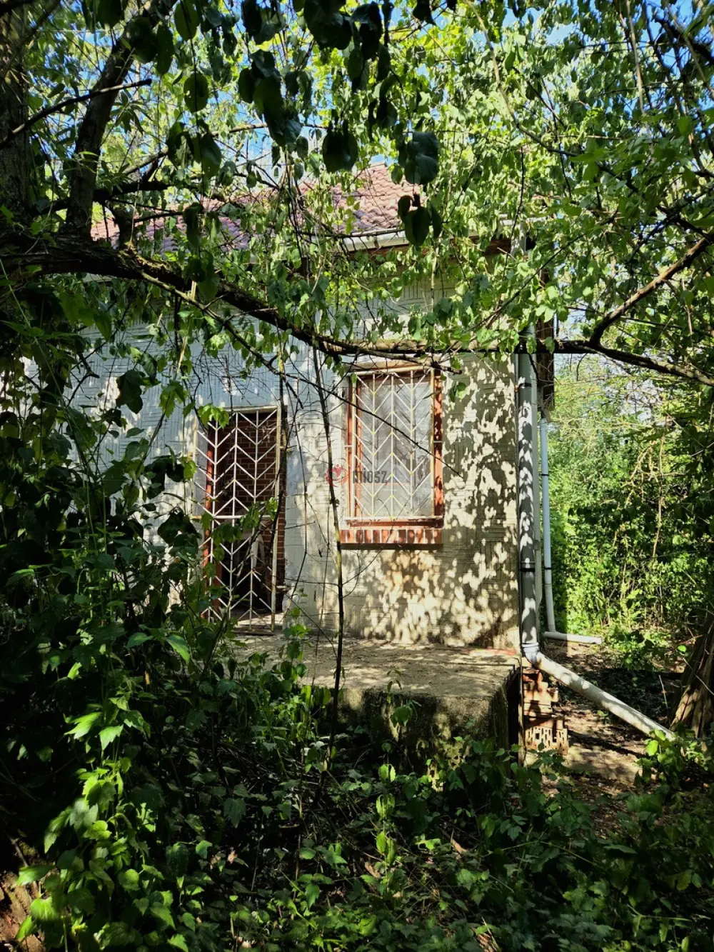 Pest megye - Vác